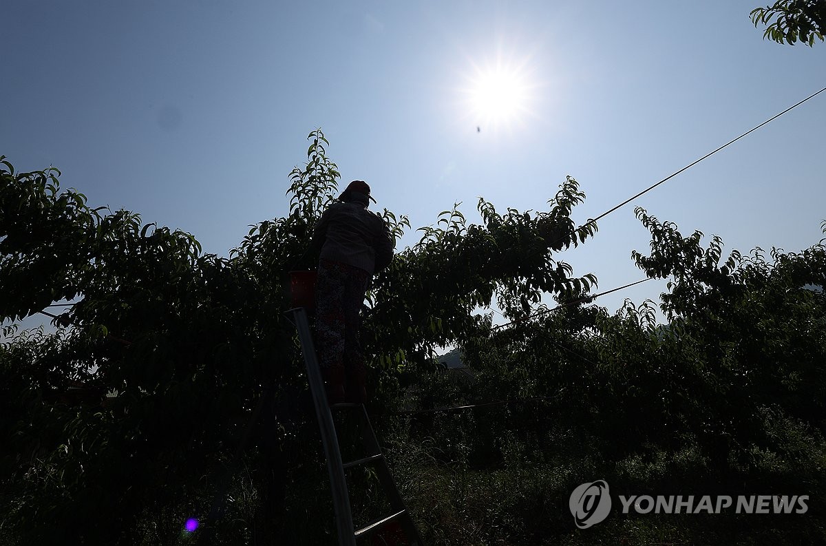 온실가스 배출 이대로라면…2081∼2100년 서울엔 110일 폭염