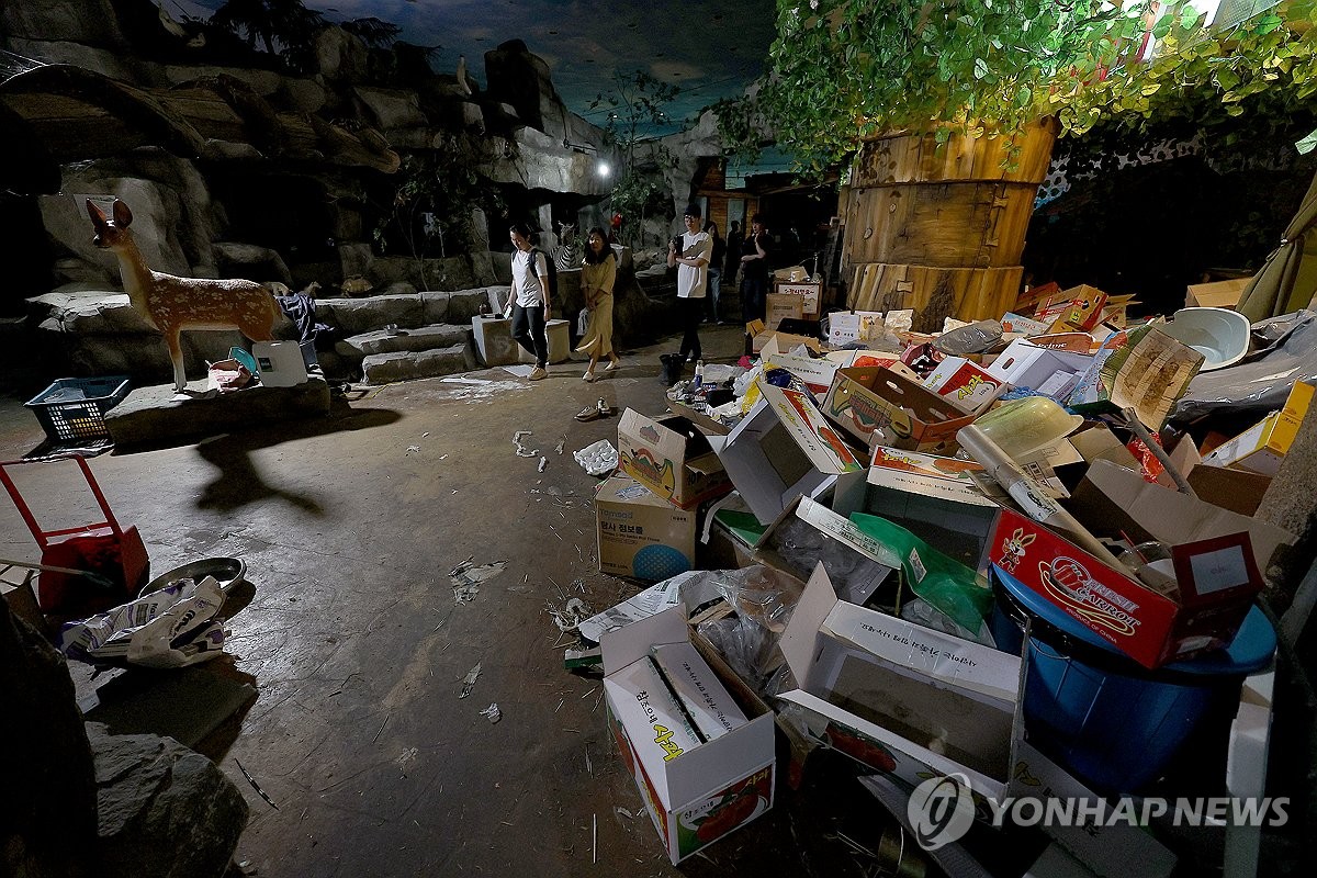 [르포] "푸른 하늘 마음껏 보렴"…'지하 사육장' 백사자의 행복한 이사