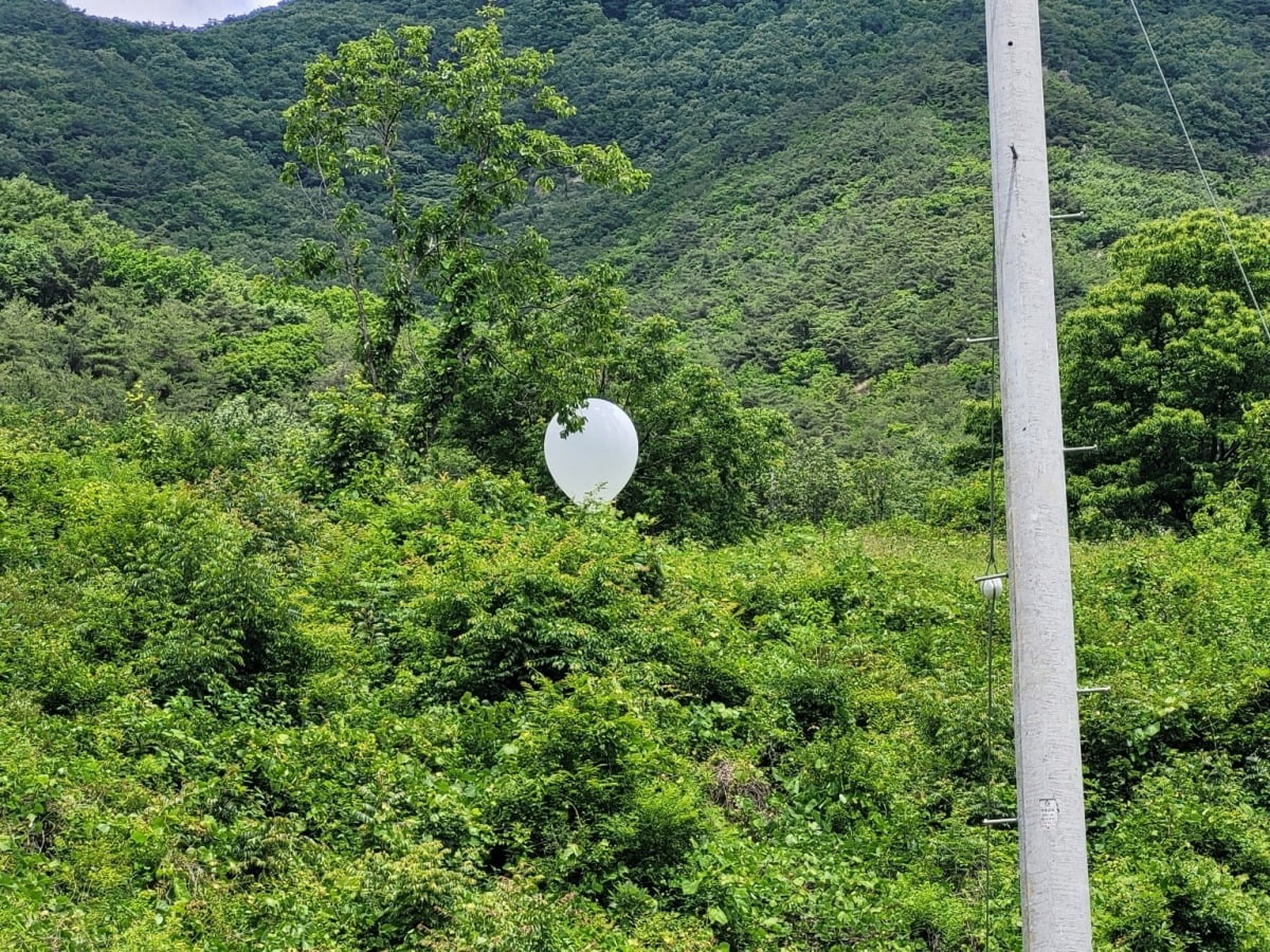 충북 영동 야산에 걸린 오물풍선 / 사진=연합뉴스