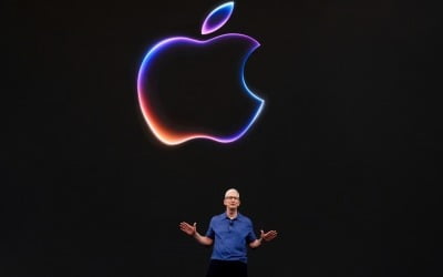 애플 AI 기대 너무 컸나…LG이노텍·비에이치 등 관련주 '급락'
