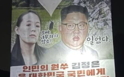 탈북민단체 "새벽에 애드벌룬 10개 이용 대북전단 20만장 살포"