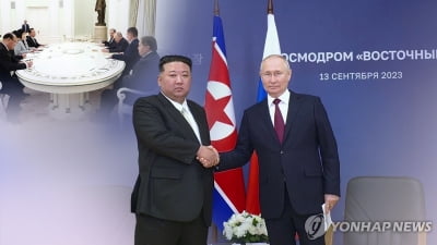 러시아 "북러 직항 노선 편성 검토 중…북측과 논의"