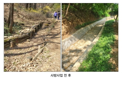 강서구, 장마철 산사태 예방 총력…취약지역 사방사업 완료