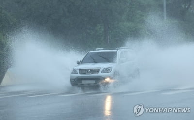 울산·경남 나무 넘어지고 도로 침수…"인명피해 없어"