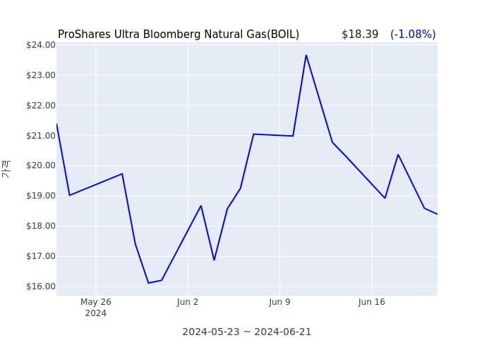 2024년 6월 22일(토) ProShares Ultra Bloomberg Natural Gas(BOIL)가 사고 판 종목은?