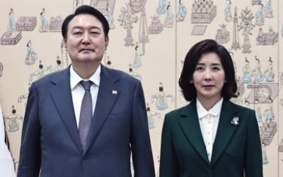민주당 "尹 탄핵 청문회 실시"…나경원 "이재명 탄핵당할 것"