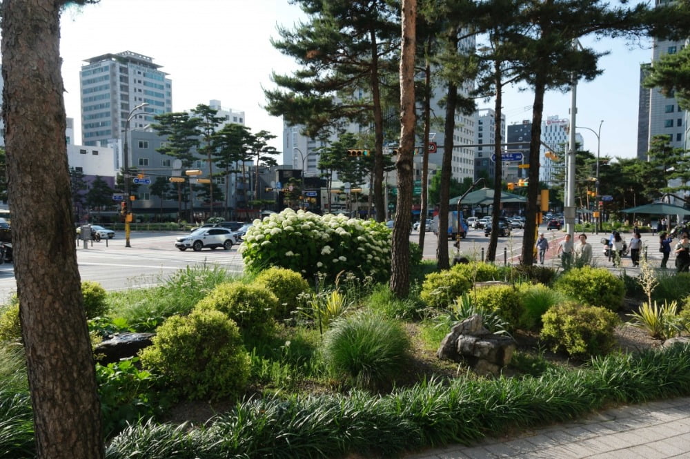 도시의 보행섬 / 사진. ⓒ김현호