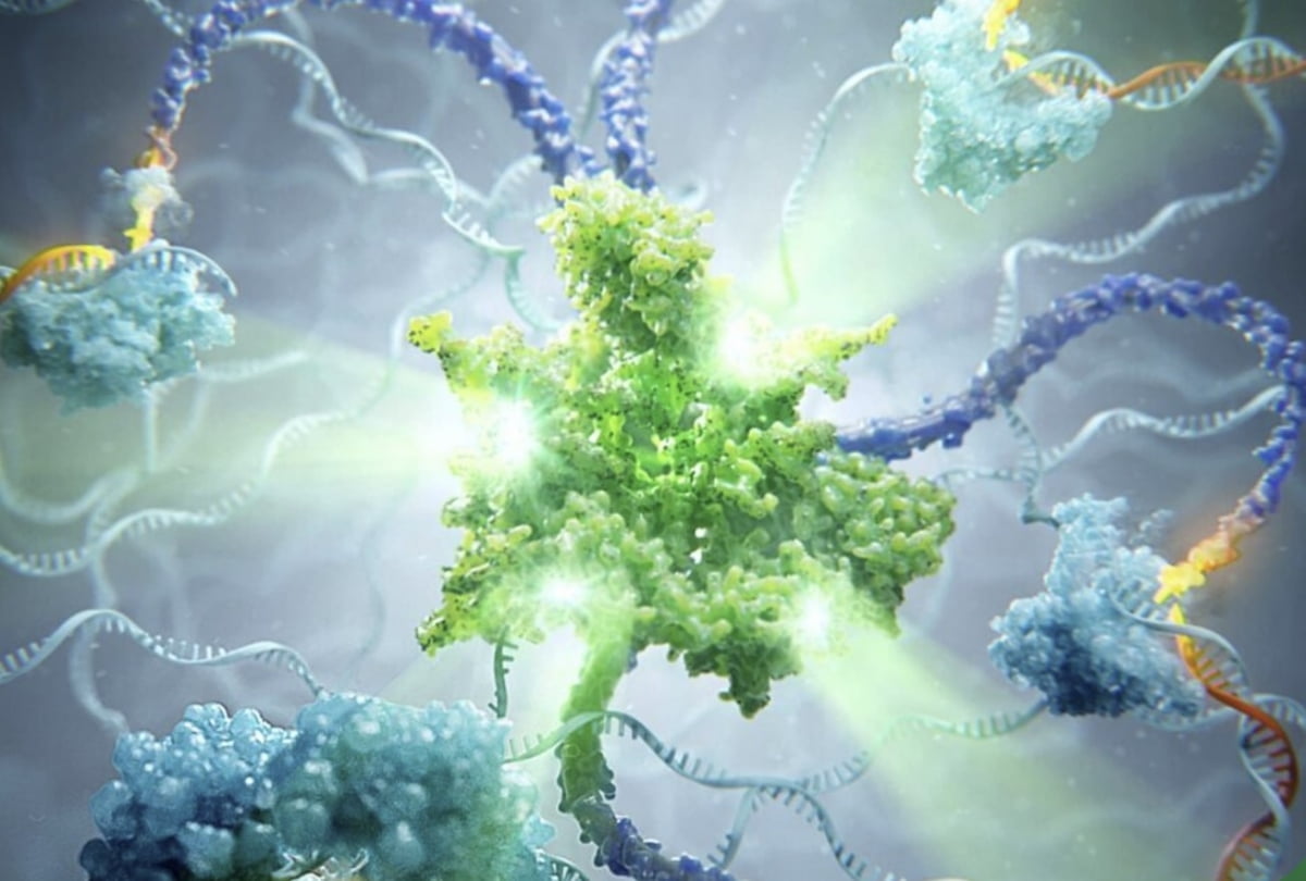 삼성전자가 DNA 시퀀싱 장비 전문업체 에볼루션 카지노 사이트 바이오사이언스에 투자했다. 에볼루션 카지노 사이트 제공