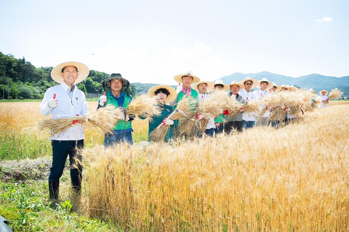 구미시, 밀·콩 2모작, 6차 융복합 등 농업 대전환