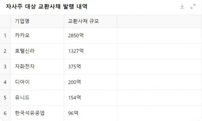 밸류업 ‘백래시’?…자사주 활용한 교환사채 발행 봇물