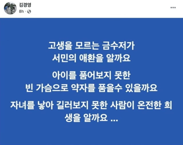 사진=김경영 더불어민주당 서울시의원 페이스북 캡쳐