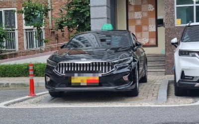 "너무 신박해서 할 말을 잃었다"…최강의 주차빌런 등장 [아차車]