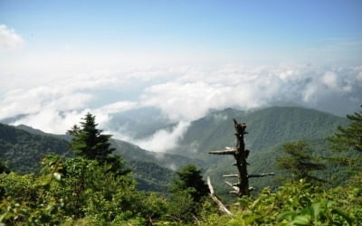 [한시공방(漢詩工房)] 遊南嶽(유남악), 宋翼弼(송익필)