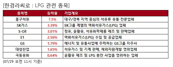 흥구석유,SK가스,S-Oil,E1,GS,대성산업,극동유화