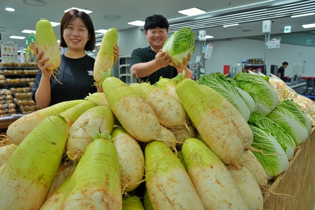 롯데마트∙슈퍼, '상생 배추, 무' 판매