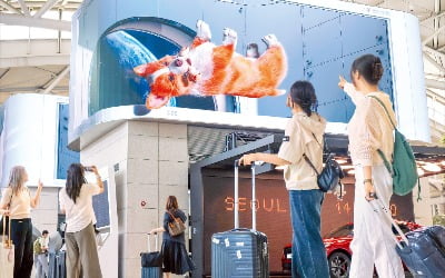[포토] 인천공항에 LG전자 LED 타워…댕댕이 '3D 덤블링'
