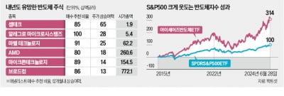 "알레그로·아이코아, 반도체 랠리 잇는다"