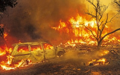[포토] 폭염에 캘리포니아 대형 화재