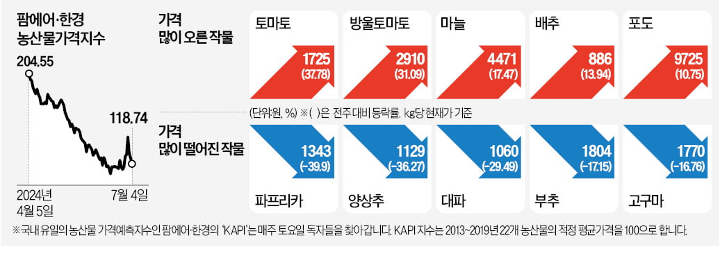 여름 농작물 가격, 고온·장마에 고공행진