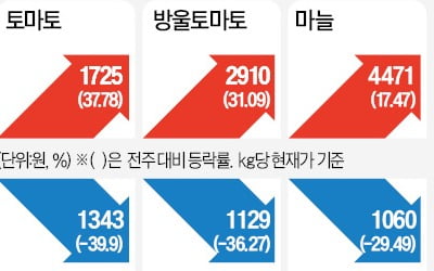 여름 농작물 가격, 고온·장마에 고공행진