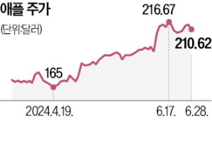 S&P500 사상 최고치 행진…'엔비디아 의존' 여부 설왕설래