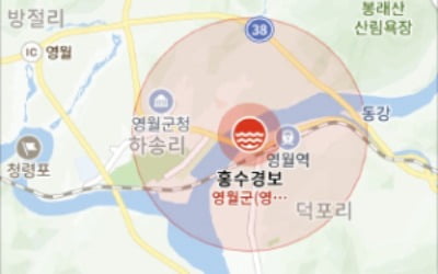 재난 상황도 실시간 파악…내비게이션의 진화