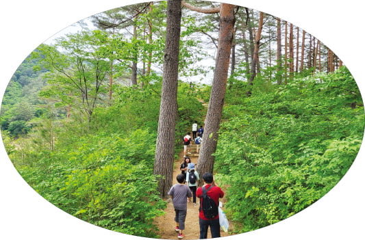 "산림유전자원을 보다 다양하게"