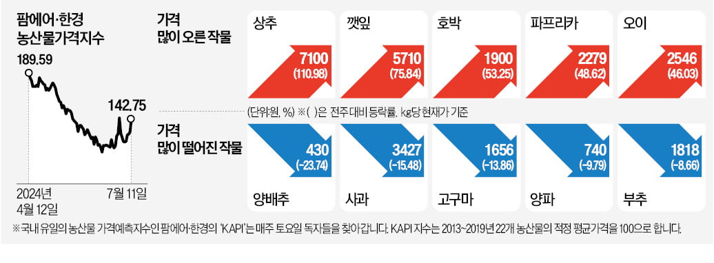 장마에 잠긴 상추밭…1주새 110% '껑충'