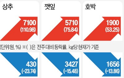 장마에 잠긴 상추밭…1주새 110% '껑충'