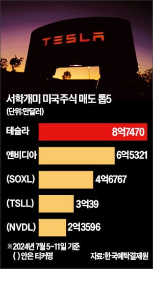 서학개미 "테슬라·엔비디아 잘 먹고 갑니다"