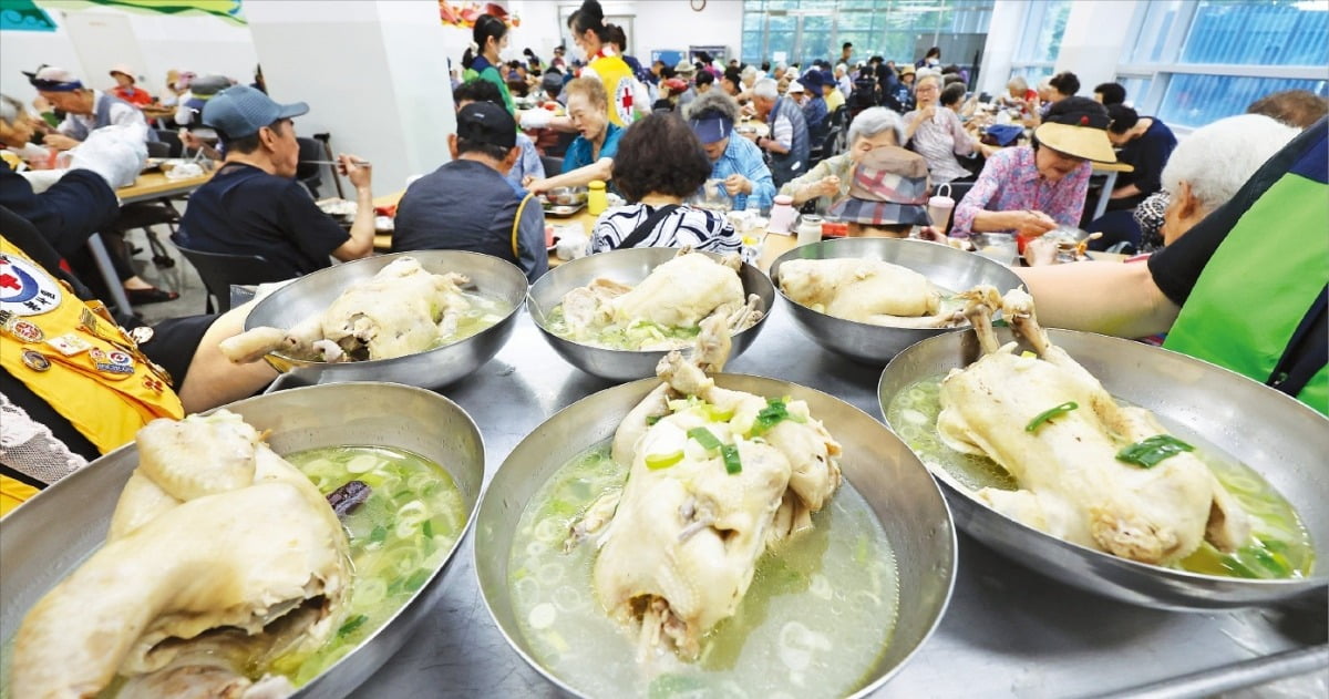 초복인 15일 삼계탕 점심 드시는 어르신들, 기사 내용과 관련 없음. / 연합뉴스 