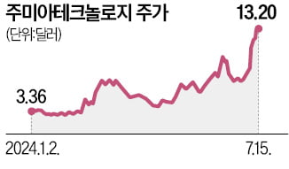 올해만 3배 껑충…'아프리카의 아마존' 주미아테크 뜬다