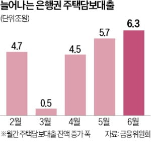 가계대출 급증 조짐 보이자…정부 "주담대 모니터링 강화"