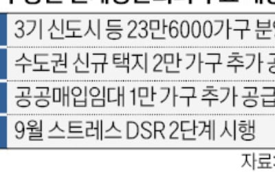 "갭투기 등 카지노 차무식 과열신호" vs "실수요 매수에 공급물량 충분"