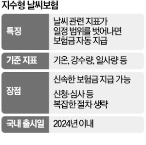 "홍수 나면 보험금 지급"…지수형 날씨보험 나온다