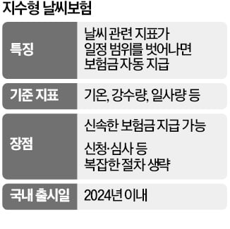 "홍수 나면 보험금 지급"…지수형 날씨보험 나온다