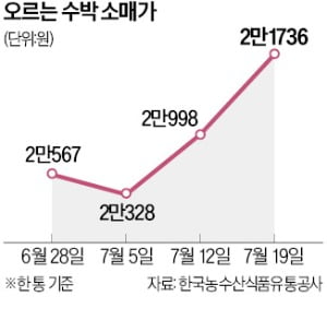 "수박 밍밍해진 이유 있었네"…집중호우에 충남 산지 침수 