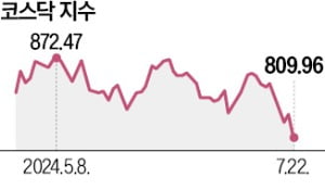 배터리株 '트럼프 리스크'…코스닥 800 방어선 위태