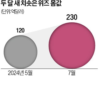 알파벳의 인수제안 거절한 위즈, IPO 추진