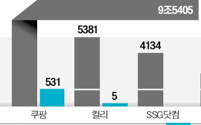 中저가 공습에 위기감…구조개혁 나선 e커머스