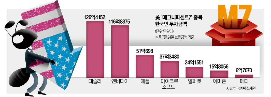 '일곱 난쟁이'로 전락한 美 M7…서학개미 2주만에 9조 날렸다