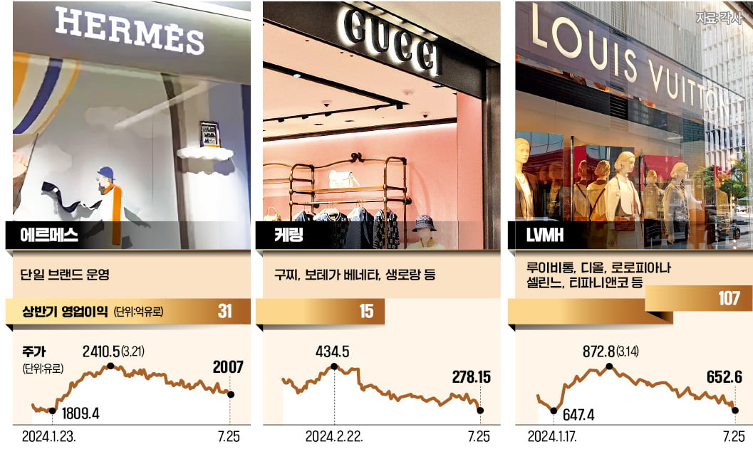 中 지갑 닫자 침울해진 명품업계…에르메스만 웃었다