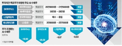 'AI주 고점론' 스멀스멀…"조정" VS "매수 기회"