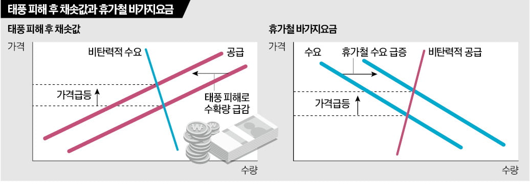 양심불량 상인이 문제?…카지노 정팔의 진짜 이유