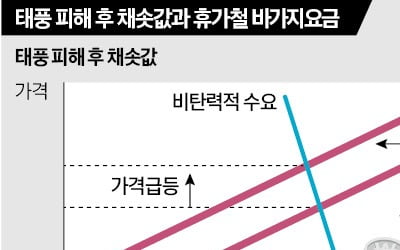 양심불량 상인이 문제?…바가지요금의 진짜 이유