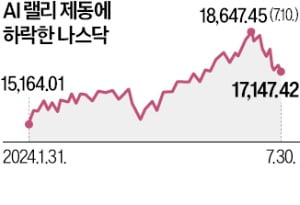 빅테크 주가 너무 올랐나…시장서 커지는 'AI 거품론'