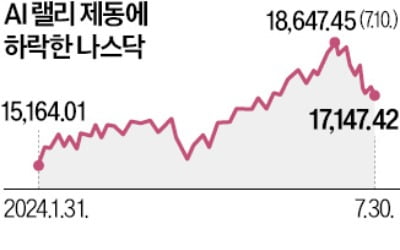 빅테크 주가 너무 올랐나…시장서 커지는 'AI 거품론'