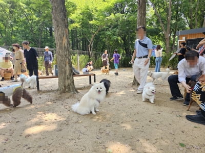 "체력및 논리적 추론 필수" 월 수입 560만원'이 직업' 뭐길래 인기?