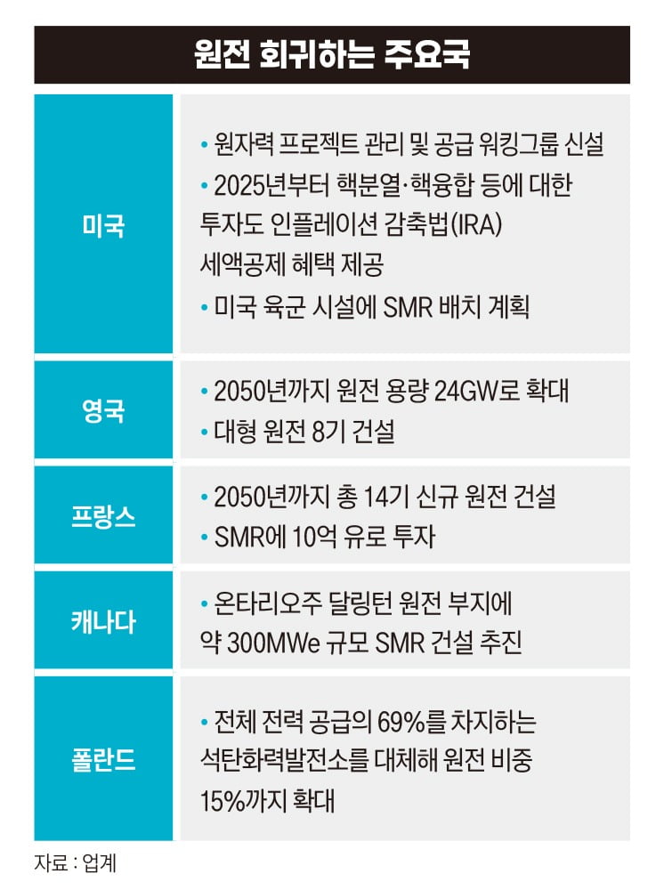 그래픽=정다운 기자