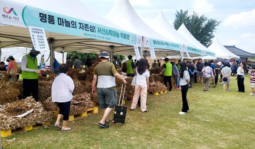 서산 6쪽마늘축제에 2만명 방문…1억5천만원어치 판매